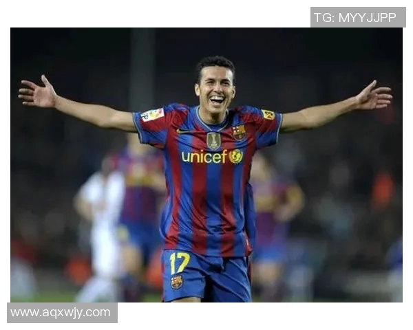 佩德罗足球明星的成就与影响力分析及其在足球界的地位探讨