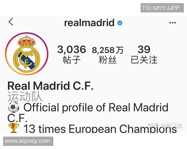 足球明星粉丝的多元化结构与影响力分析探讨 足球明星粉丝的多元化结构与影响力分析探讨