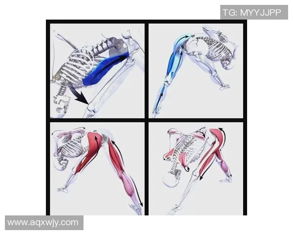 哑铃练胸肌的完美中缝图解助你打造理想胸部线条与力量