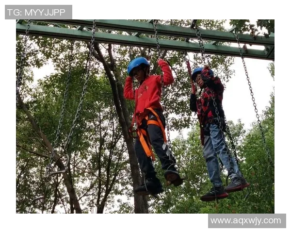 在大自然中锻炼身心的乐趣与收获上户外拓展体育课的深刻体会与反思