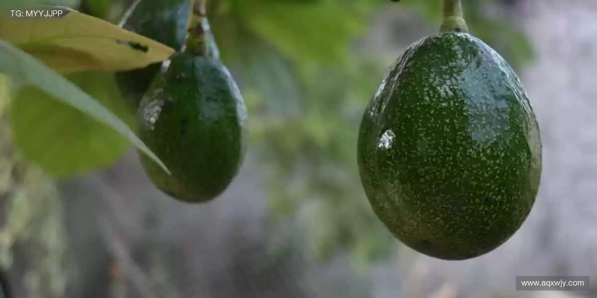 💥 亲临现场，感受心跳的每一秒！🎉